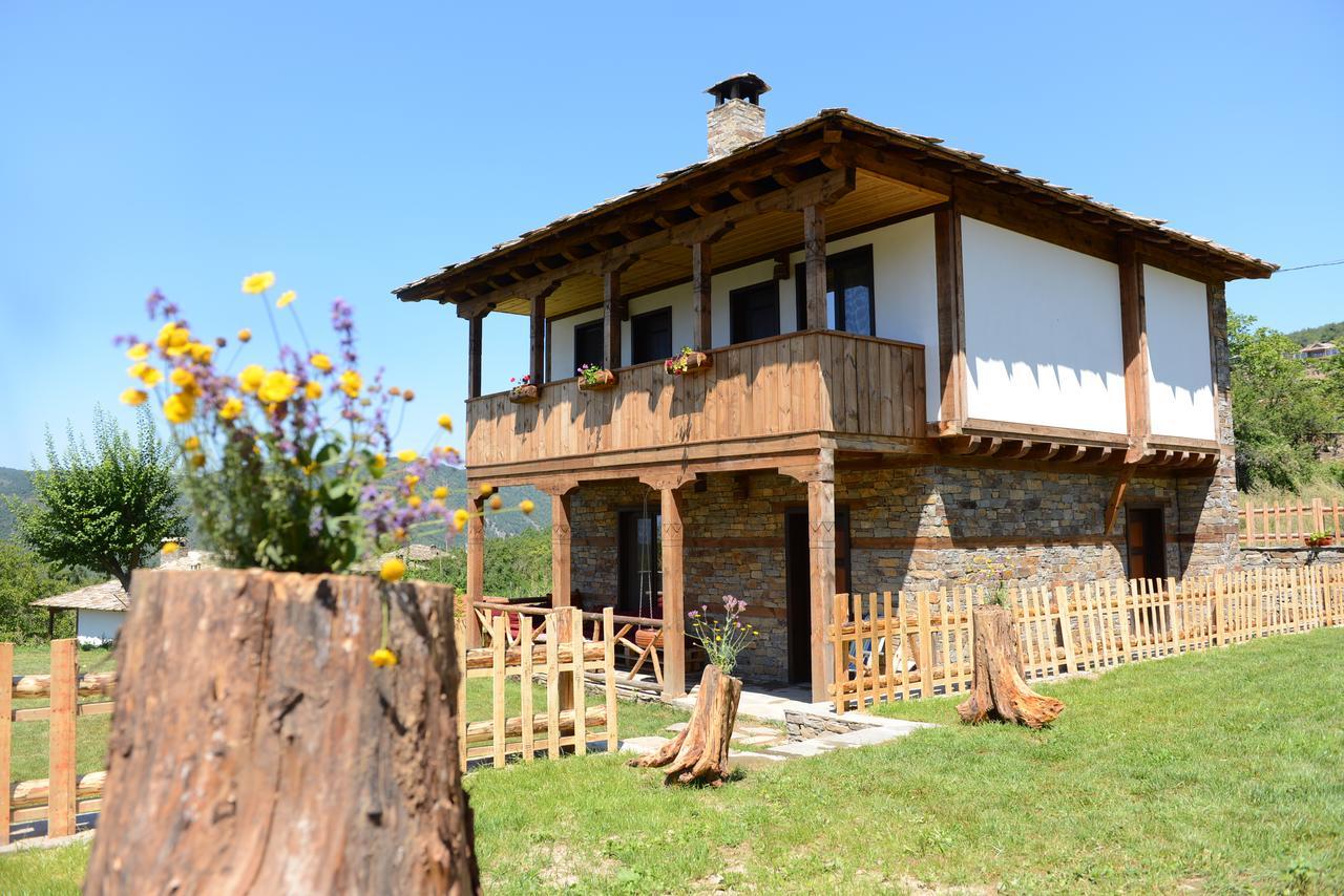 Dream House Villa Leshten Bagian luar foto